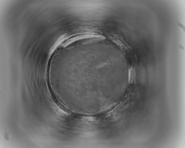X0000093480195200710261045