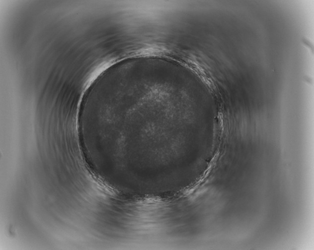 X0000093480196200710261045