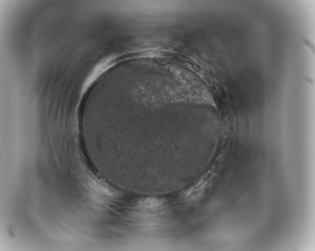 X0000093480198200710261045