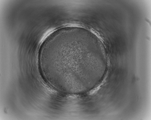 X0000093480199200710261045