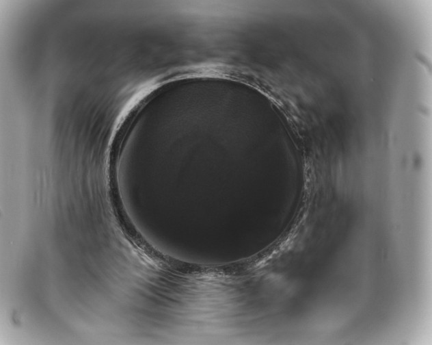 X0000093480200200710261045