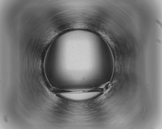 X0000093480201200710261045