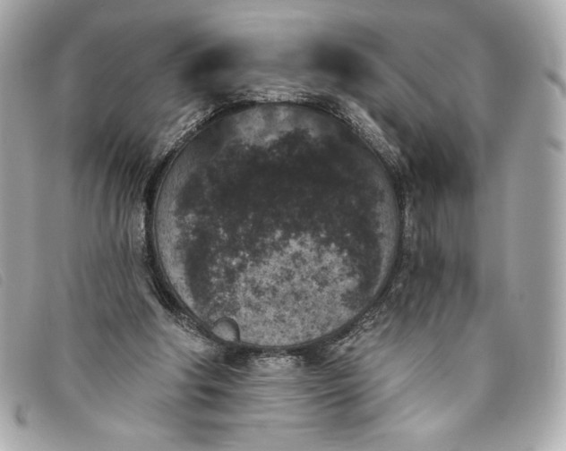 X0000093480202200710261045