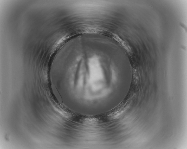 X0000093480203200710261045