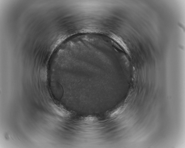 X0000093480204200710261045