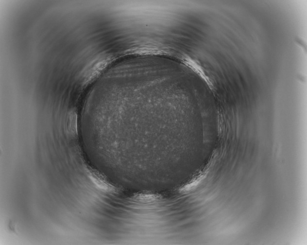 X0000093480205200710261045