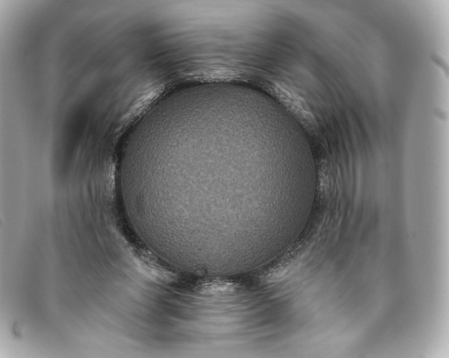X0000093480206200710261045