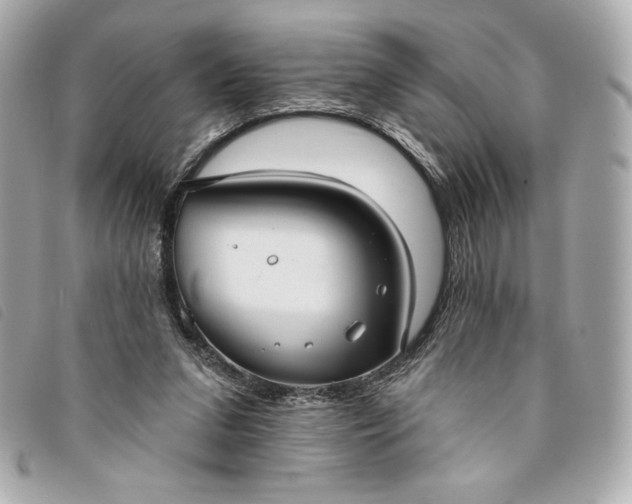 X0000093480207200710261045