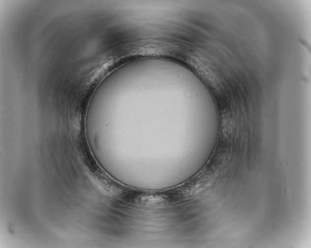 X0000093480208200710261045