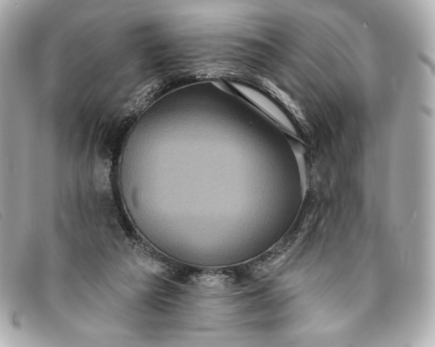 X0000093480209200710261045