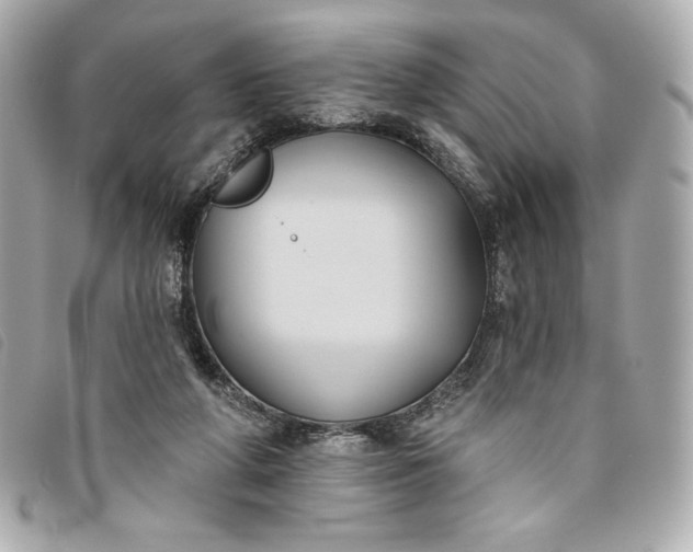 X0000093480210200710261045