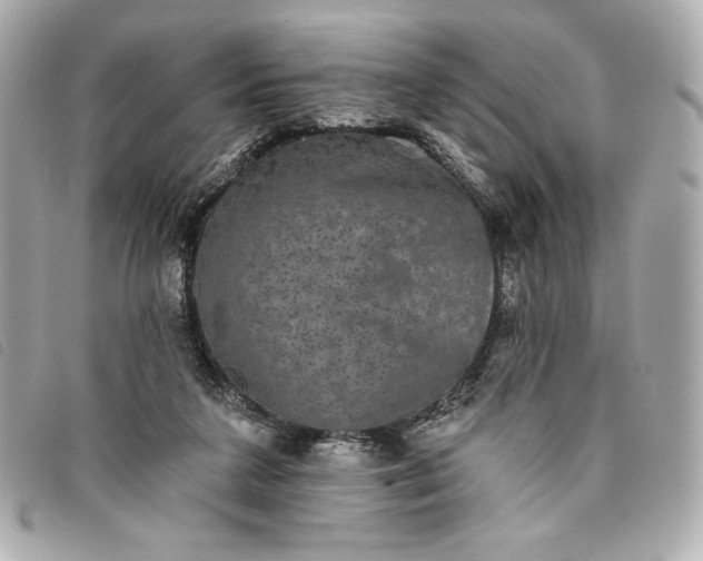 X0000093480211200710261045