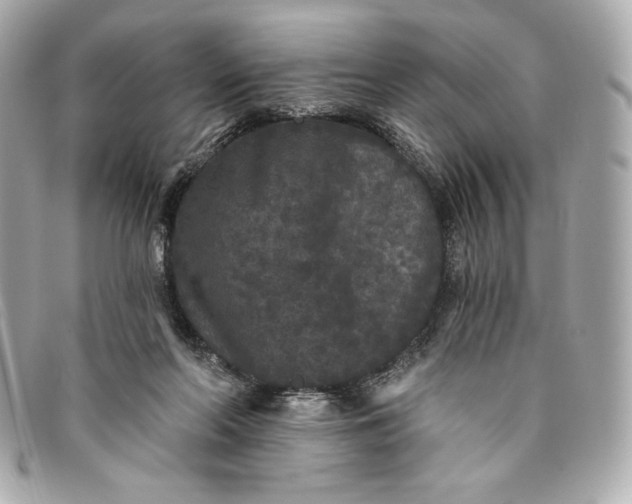 X0000093480214200710261045