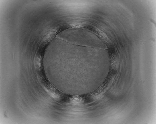 X0000093480215200710261045