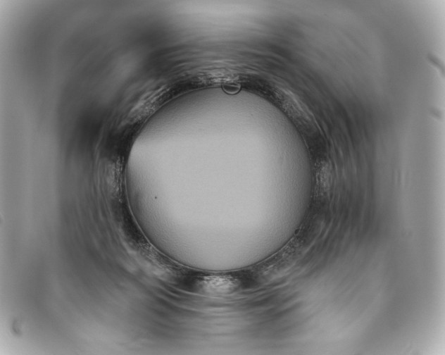 X0000093480218200710261045