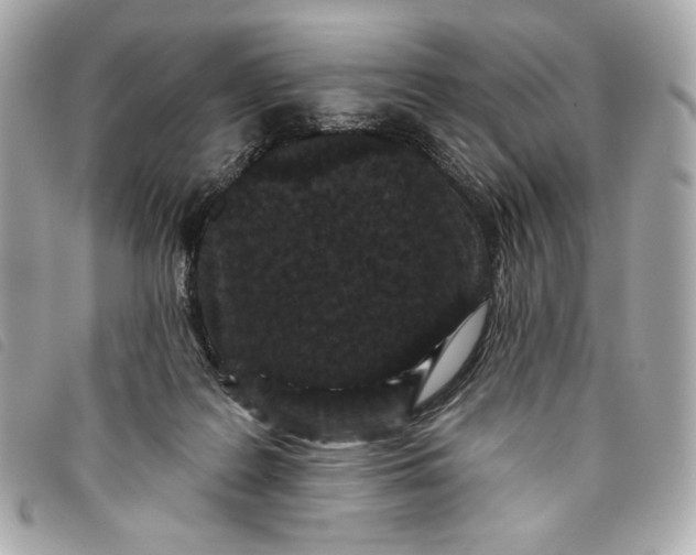 X0000093480219200710261044