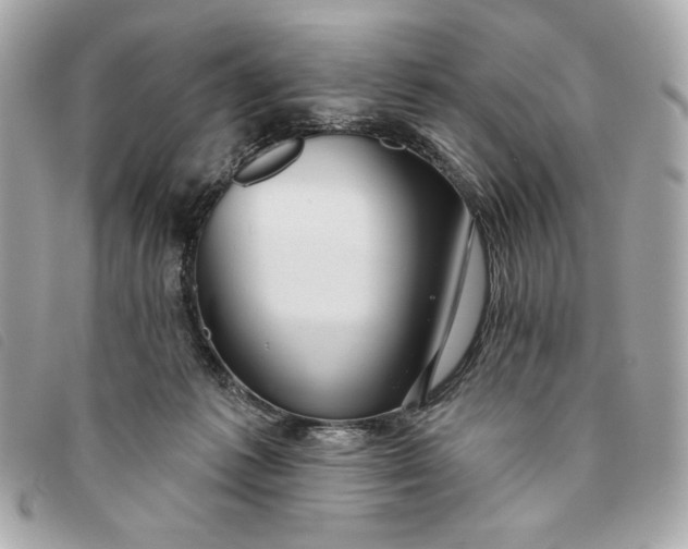 X0000093480221200710261044