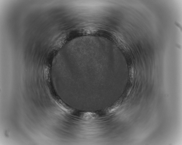 X0000093480222200710261044