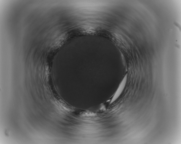 X0000093480223200710261044