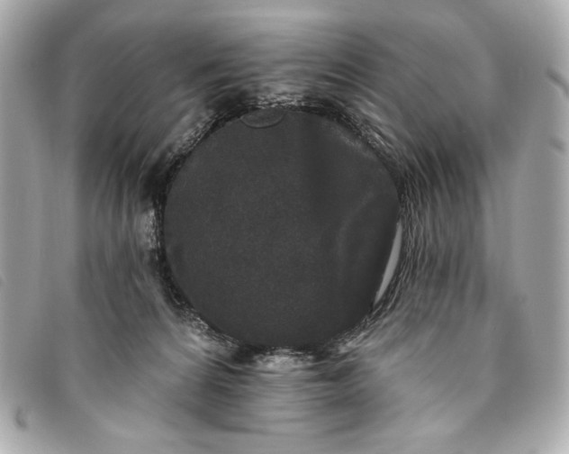 X0000093480224200710261044