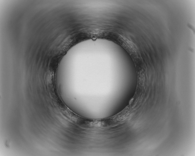 X0000093480225200710261044