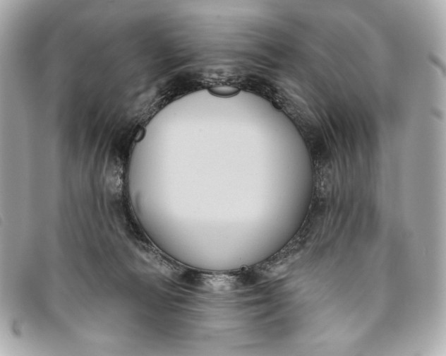 X0000093480226200710261044