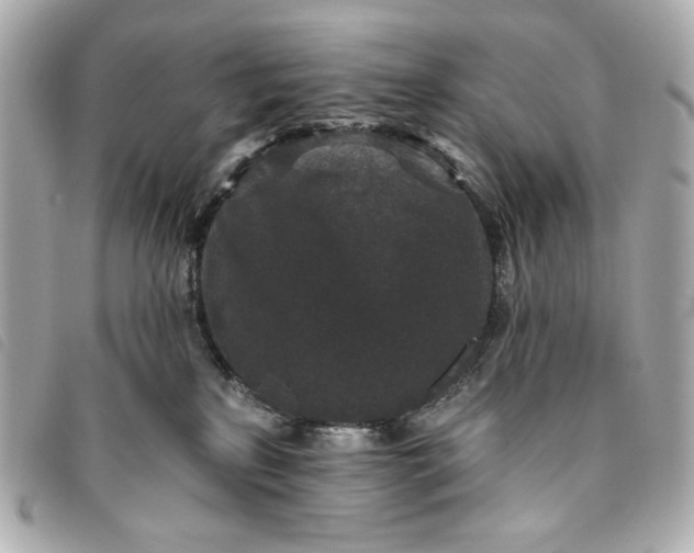 X0000093480233200710261044