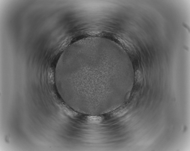 X0000093480234200710261044