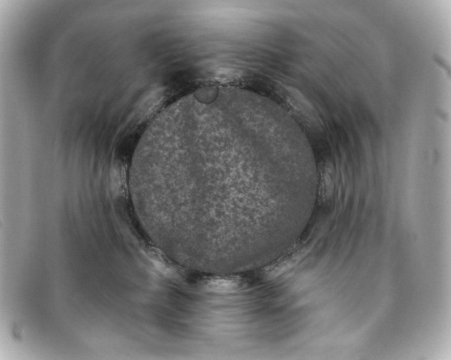 X0000093480236200710261044