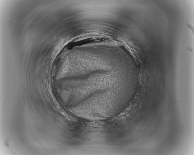 X0000093480241200710261044