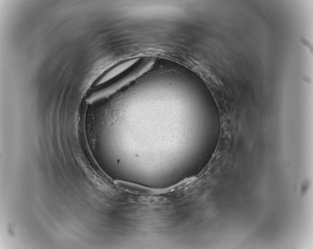 X0000093480242200710261044