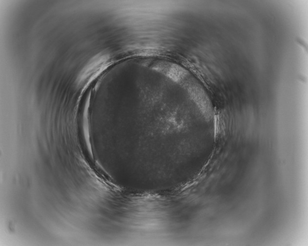 X0000093480243200710261044