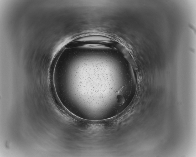 X0000093480248200710261044