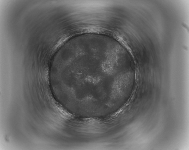 X0000093480249200710261044
