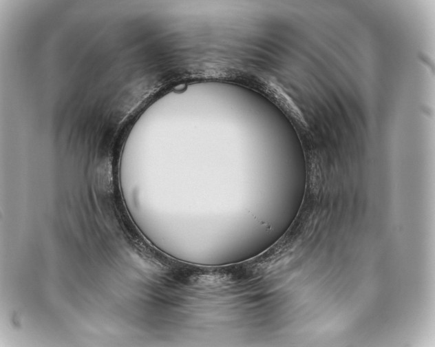 X0000093480251200710261044