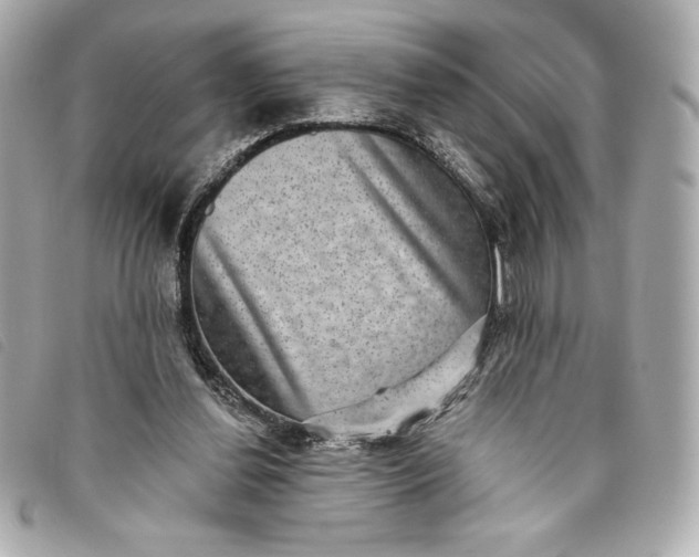 X0000093480252200710261044
