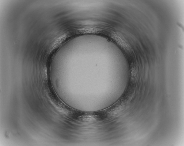 X0000093480254200710261044