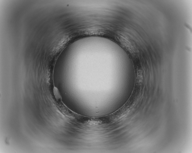 X0000093480255200710261044