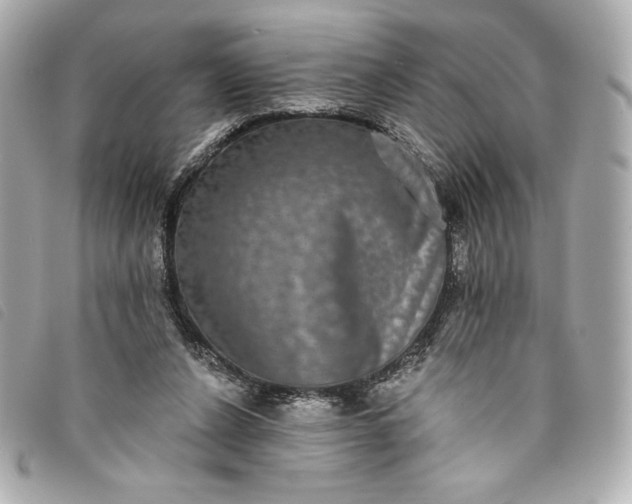 X0000093480256200710261044