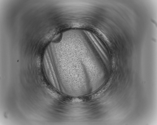 X0000093480257200710261044