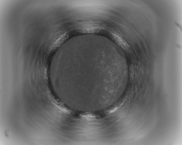 X0000093480258200710261044