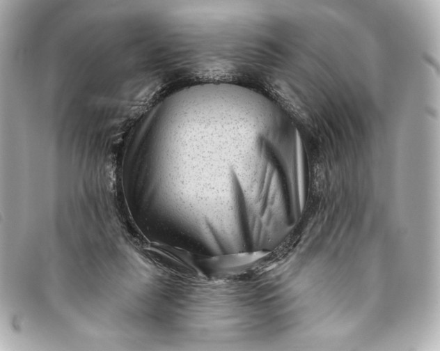 X0000093480259200710261044