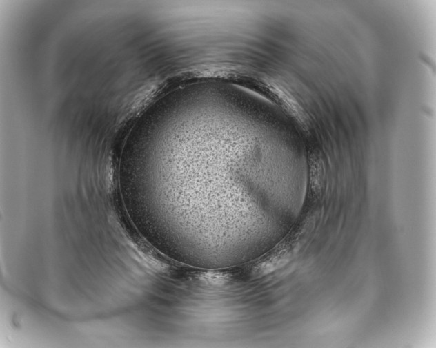 X0000093480261200710261044