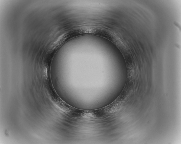 X0000093480262200710261044