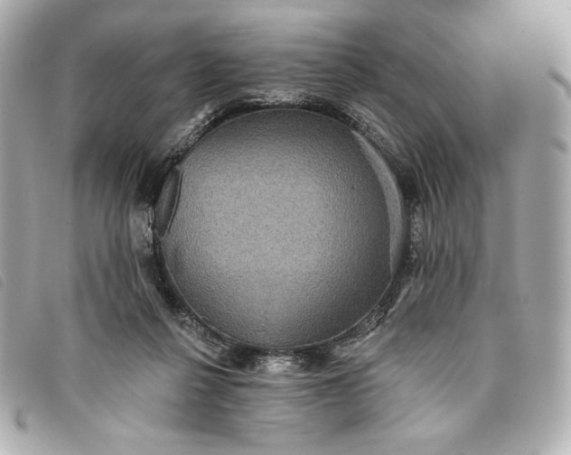 X0000093480264200710261044