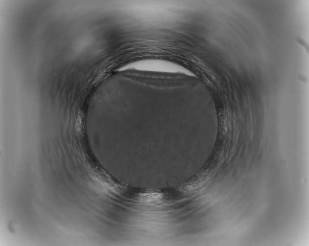 X0000093480266200710261044