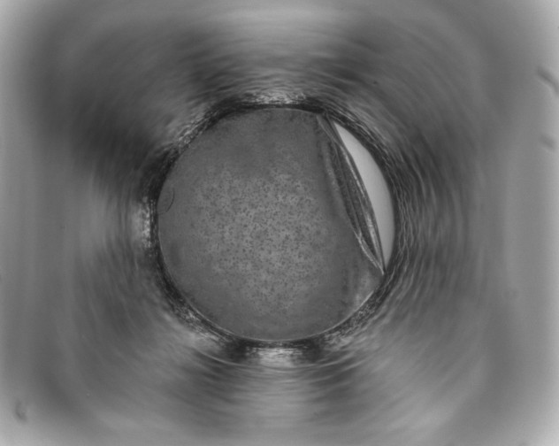 X0000093480268200710261044