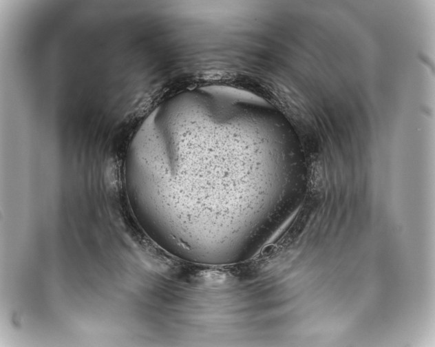 X0000093480272200710261044