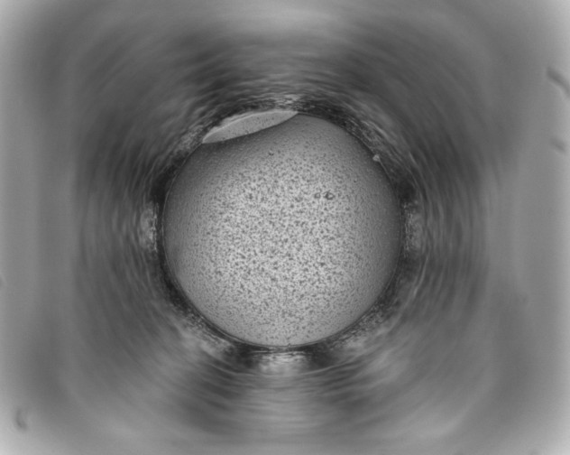 X0000093480274200710261044