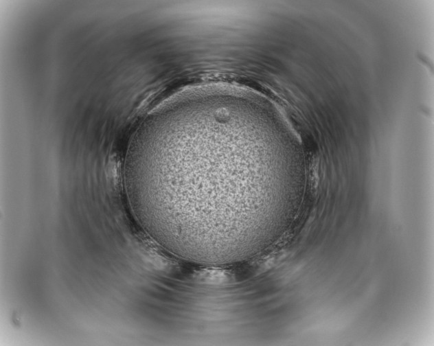 X0000093480276200710261044